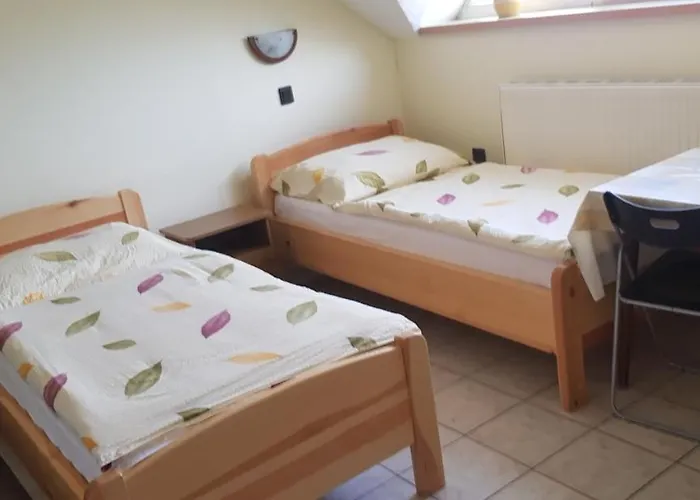 Pensiune Gyorgy Vendeghaz *